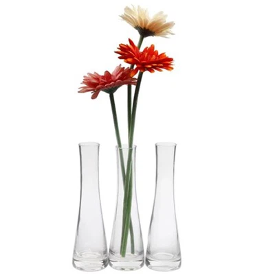 Transparente Blumenvase aus Glas